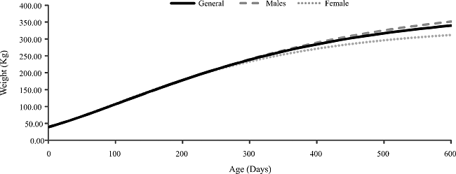 Weight estimate as a function of age, obtained using the Von
Bertalanffy model for Nellore cattle raised in the Pantanal region, MS,
(Upper group)