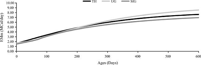 Estimates of metabolizable energy for the daily maintenance of
Nellore cattle, raised in the Pantanal region, MS, and divided into
total herd (TH), upper group (UG), and middle group (MG)