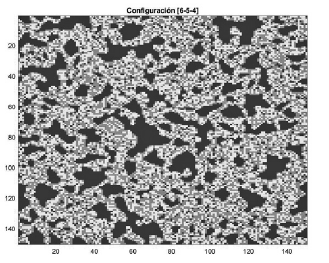 Patrones de segregación configuración [6-3-4] para 90.000 iteraciones