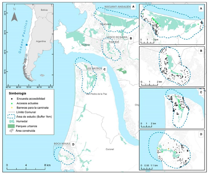 Distribuci&oacute;n espacial de las encuestas en humedales urbanos de Concepci&oacute;n Metropolitano: (A) Rocuant-Andali&eacute;n; (B) Paicav&iacute; y Vasco de Gama; (C) Los Batros; (D) Boca Maule.