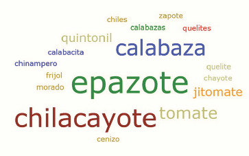 Productos prehispánicos citados en las entrevistas.