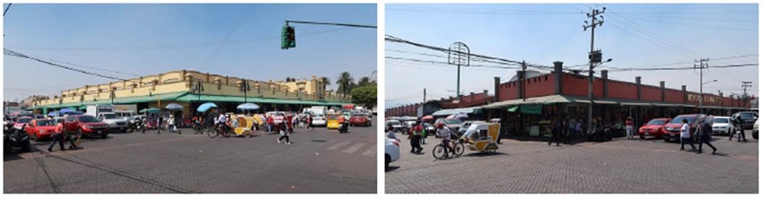 Las secciones del mercado Xochimilco.