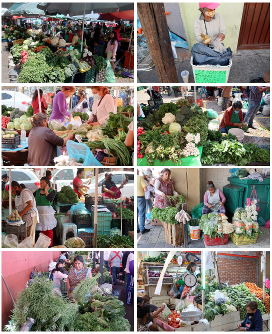 Mujeres comerciantes en las zonas de productores, interior del mercado y ambulantes de Xochimilco.