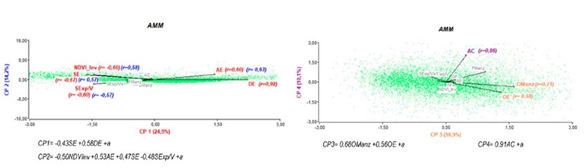 CP para AMM, correlaciones significativas y ecuaciones resultantes.