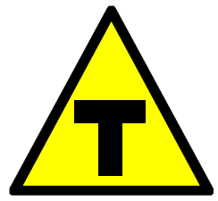 Symbol identifying the presence of genetically
modified organisms in food products in Brazil Source: Brasil (2003d)