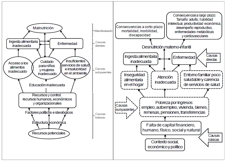 Marco conceptual de la relaci&oacute;n entre inseguridad alimentaria y causas
b&aacute;sicas, subyacentes y directas de la malnutrici&oacute;n (a) y desnutrici&oacute;n (b)