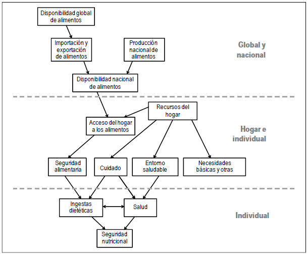 Marco conceptual
de la seguridad alimentaria y nutricional