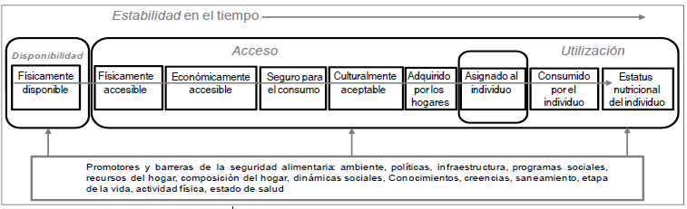 Componentes de la seguridad alimentaria y nutricional
dentro de la secuencia conceptual 

de sus dimensiones