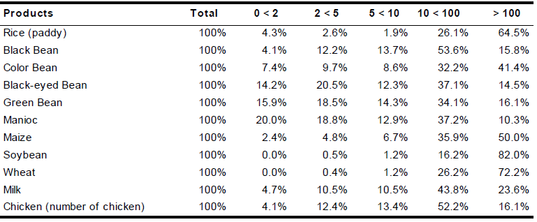 Share in the Brazilian agricultural production by group of area (hectare), 2006