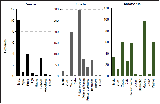 Principales cultivos producidos por región
