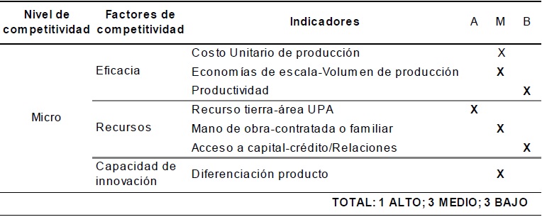 Análisis competitividad sistémica SIAL nivel micro