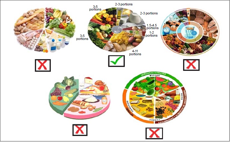 Question about the identification of the correct Portuguese Food Wheel