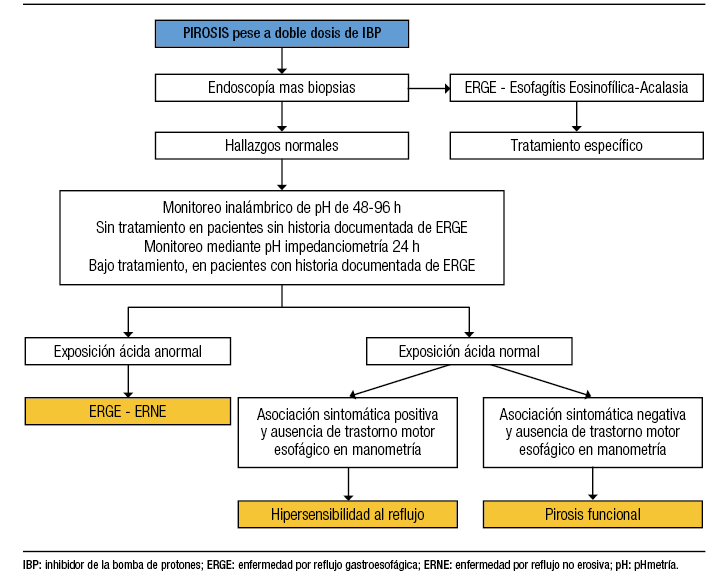 Algoritmo diagnóstico propuesto