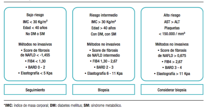 Algoritmo para la estratificaci&oacute;n del riesgo en HGNA (adaptado de gu&iacute;a diagn&oacute;stico y tratamiento HGNA AAEEH 2019 3)