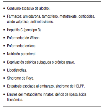 Causas secundarias de h&iacute;gado graso