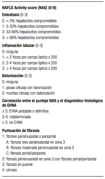 Clasificaci&oacute;n histol&oacute;gica de la actividad y estadio de fibrosis en HGNA adaptado de Kleiner et al 2005 69