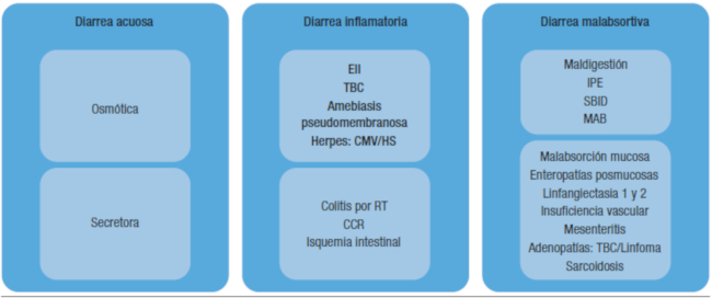 Diarrea acuosa osmótica y secretora inflamatoria y malabsortiva