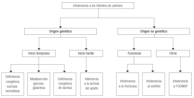 Intolerancia a los hidratos de carbono