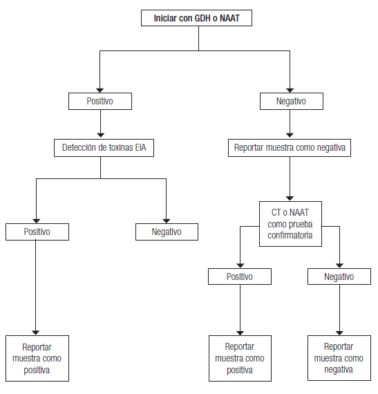 Algoritmo diagnóstico ante la sospecha de diarrea por Clostridium spp