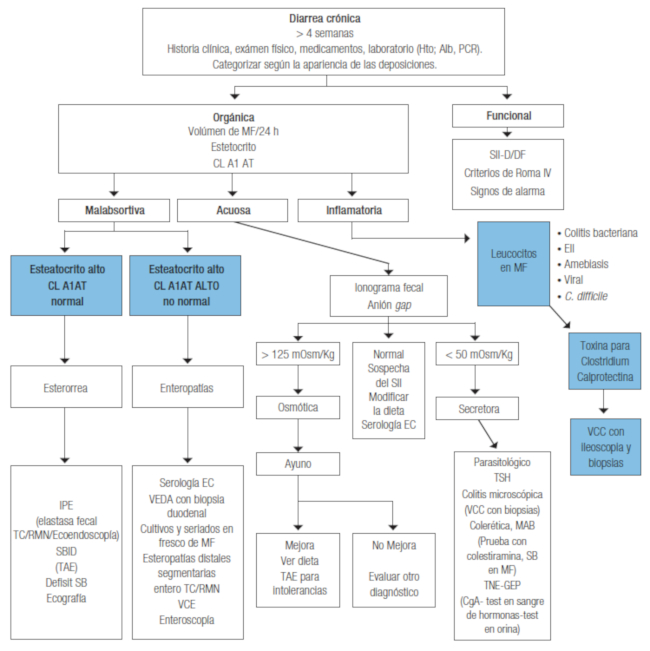 Algoritmo diagnóstico para el enfoque clínico inicial del estudio de la diarrea crónica