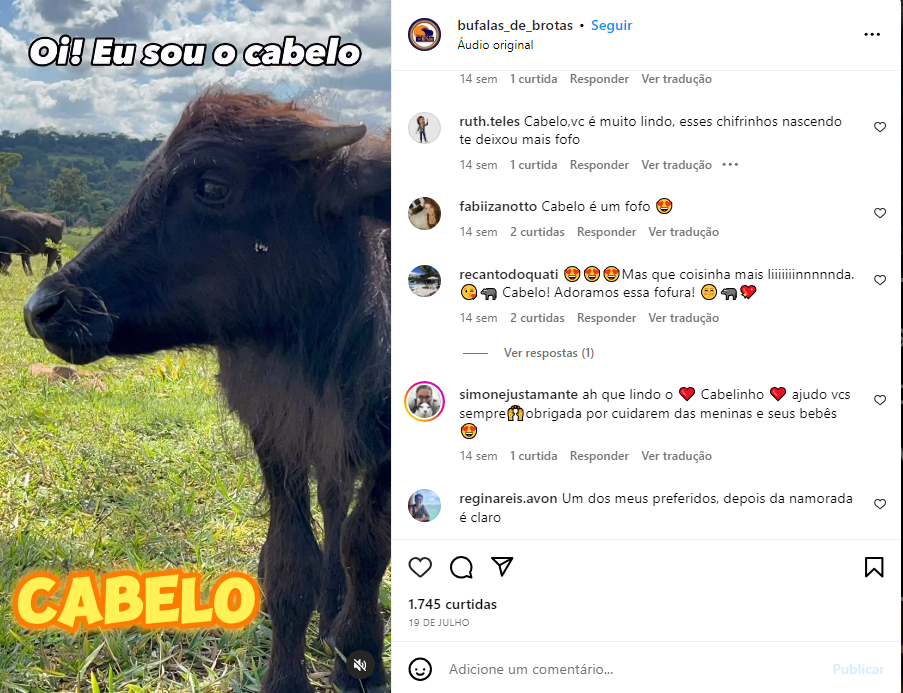 Puesto de presentaci�n de uno de los animales tratados