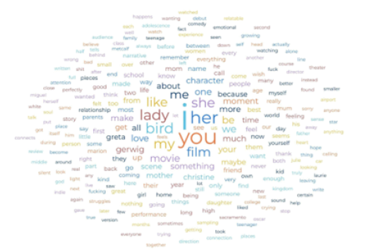 Lady Bird’s (2017) Word Cloud