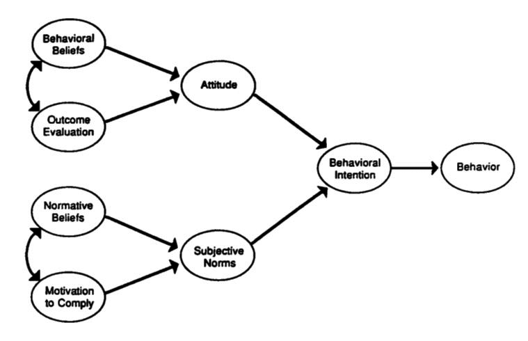 The Theory of Reasonable Action (
							Fishbein and Ajzen, 1975)