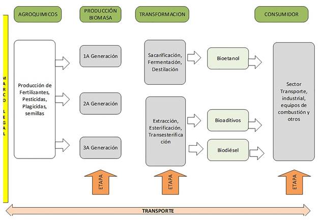 Cadena de suministro te&oacute;rica de biocombustibles.