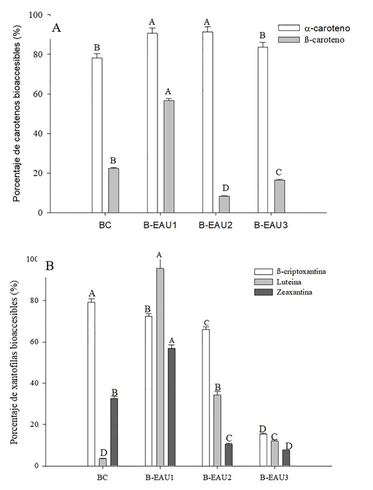 Porcentaje de bioaccesibilidad de (A) carotenos (α-C y β-C) y (B) xantófilas (Lut, Zea y β-Cr) en las bebidas de mango ‘Ataulfo’ (BC: bebida sin tratamiento. B-EAU: bebida con tratamiento de ultrasonido-asisitido: 1 (XTE: 30 min, XA: 30 %, XC: 0.8); 2(XTE: 15 min, XA: 70 %, XC: 0.4); 3 (XTE: 12 min, XA: 100 %, XC: 1). Los valores representan media ± desviación estándar de tres repeticiones. Diferentes letras representan diferencia significativa entre los diferentes tratamientos y el control.