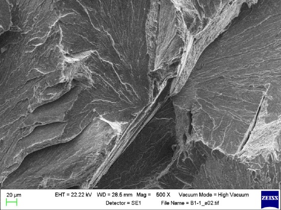 Fractograph for a standard specimen showing cleavage behavior plus dimples and tear ridges (Alcaraz, 2012).