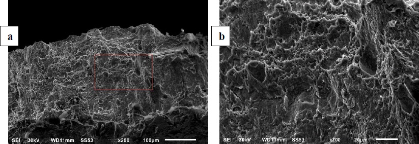 Typical fractograph for SPT specimens: (a) through-thickness fracture, (b) Detail of the rectangule in (a) exhibites ductile failure by micro-void growth and coalescence.