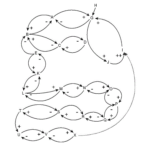Causal model of the supply chain of the salt container, developed
							with Vensim &reg; PLE. 
