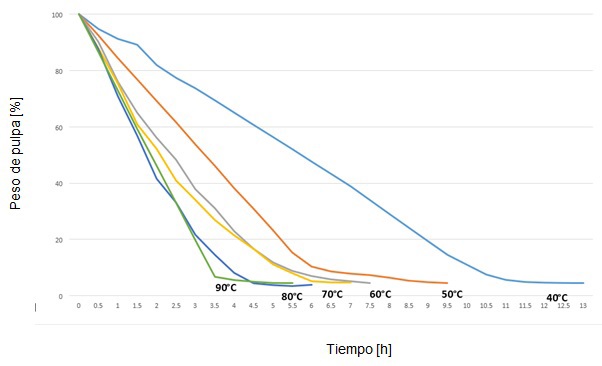 Proceso de secado de pulpa de calabaza con diferentes temperaturas constantes y bajo una atmosfera de presi&oacute;n.