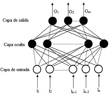 Estructura b&aacute;sica de una RNA.