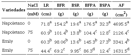 Efecto de la interacción variedades × NaCl en las variables morfométricas de plantas de dos variedades de albahaca sometidas a estrés salino.