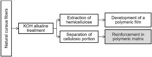 Schematic diagram of the processes involved in the complete utilization of curaua fiber.