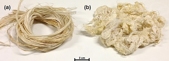 Appearance of the in natura (a) and chemically treated (b) curaua fibers.