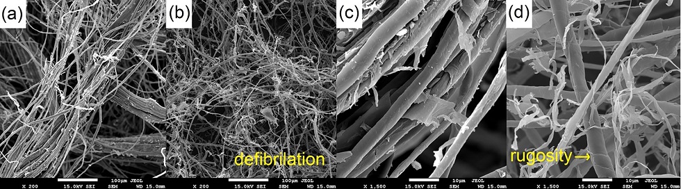 SEM images of curaua fibers: (a) in natura, 200×; (b) chemically treated, 200×; (c) in natura, 1500×; (d) chemically treated, 1500×.