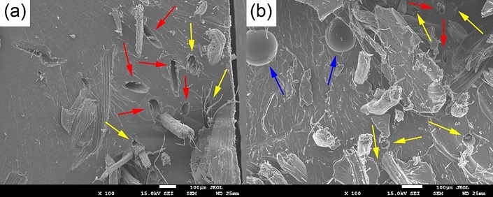 SEM images of the fracture surface of composite samples reinforced with in natura (a) and chemically treated curaua fibers (b). 100× magnification.