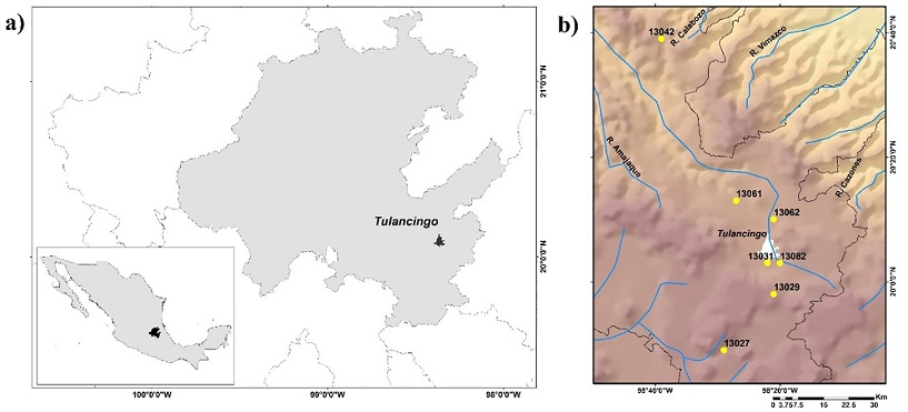 a) Ubicaci&oacute;n de Tulancingo en el estado de Hidalgo, M&eacute;xico. b) R&iacute;os principales de la cuenca que rodea Tulancingo (l&iacute;neas azules) y localizaci&oacute;n de las estaciones meteorol&oacute;gicas usadas (puntos en amarillo).