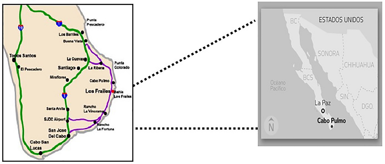 Ubicaci&oacute;n de la localidad de Cabo Pulmo. Fuente: Centro Estatal de
							Informaci&oacute;n (CEDEGI,
							2010).
