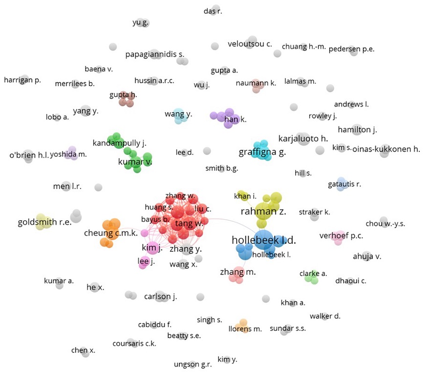 Authors cooperation network on marketing-oriented engagement.