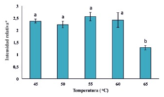 Efecto intensidad relativa de los productos amplificados en función de las temperaturas de hibridación ensayadas. Letras iguales diferencias no significativas; letras diferentes, diferencias significativas.