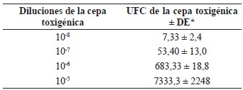 Número de unidades formadoras de colonias (UFC) de la cepa toxigénica V. cholerae C7258Kn en las diluciones empleadas para contaminar las preparaciones vacunales.