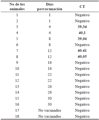 Resultados de los CT de ARN en muestrasde sueros de animales vacunados y los controles novacunados.