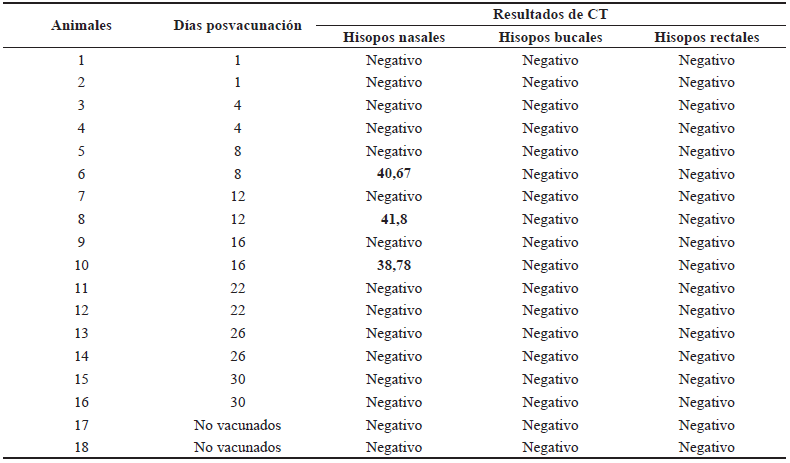 Resultados de los CT de ARN en muestras de hisopos nasales, bucales y rectales de animales vacunados ylos controles no vacunados.