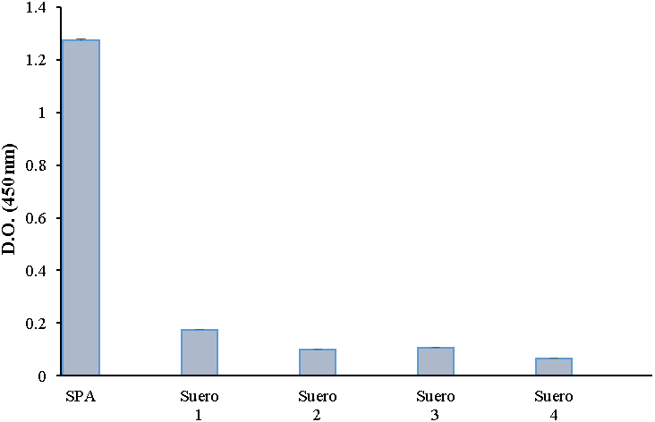 Especificidad. SPA (suero positivo contra ves&iacute;cula de membrana
externa de S. Paratyphi A) y 4 sueros
de ratones inmunizados con: polisac&aacute;rido Vi de Salmonella Typhi (suero 1), c&eacute;lulas inactivadas de Bordetella pertussis (suero 2),
polisac&aacute;ridos 6B y 19F de Streptococcus
pneumoniae (suero 3), ves&iacute;culas de membrana externa de Neisseria meningitidis serogrupo B (suero 4).
