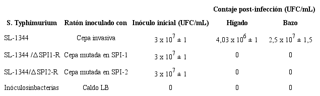Contaje de bacterias viables cuatro d&iacute;as post-infecci&oacute;n en el modelo de salmonelosis sist&eacute;mica en ratones BALB/c.