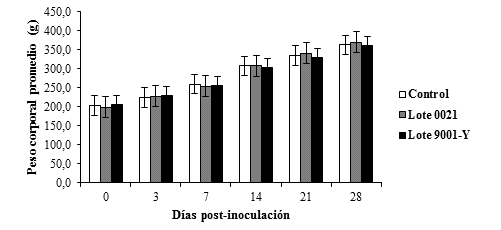 Comportamiento del peso corporal de ratas SD machos durante el estudio de tolerancia local de VA-MENGOC-BC®. Cada valor representa el promedio de los animales y el error típico de la media de cada grupo. Prueba estadística Kruskal-Wallis p ≥ 0,05.