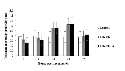 Comportamiento del volumen muscular en ratas SD machos durante el estudio de tolerancia local de VA-MENGOC-BC®. Cada valor representa el promedio de 10 animales y el error típico de la media de cada grupo. Prueba estadística Kruskal-Wallis p≤ 0,05. 